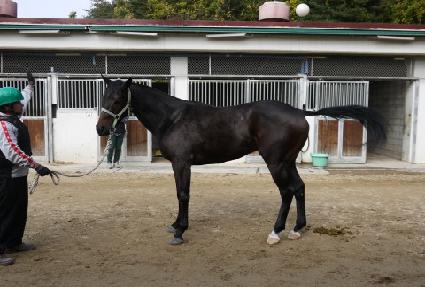 �׶����� ����