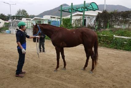 ������ ����