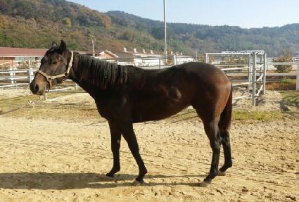 ���η����� ����