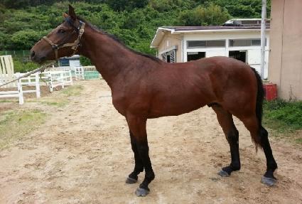 ������� ����