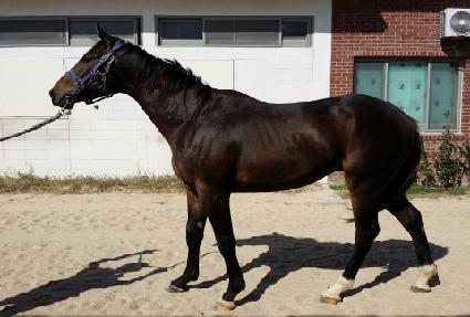 �ٳ��� ����