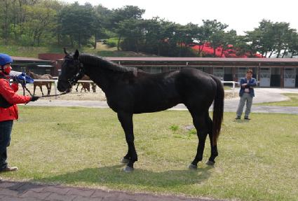 ��սô� ����