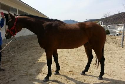 Ʈ���弼�� ����