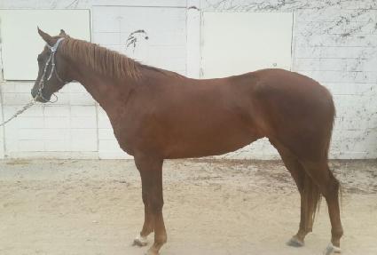 �Ƹ��ٿ�� ����