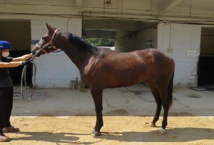 ��Ƽ�ö��� ����