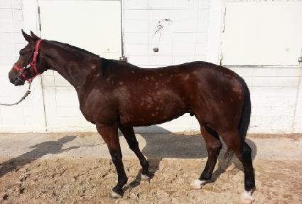 �ֶ�õ� ����