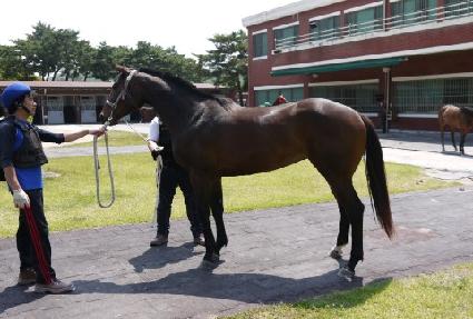 ��󺸵��� ����