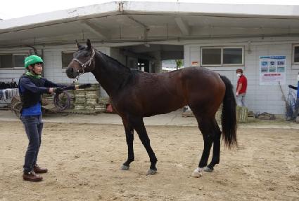 �־���Ƽ ����