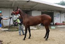 PERFECT YEOSIN picture