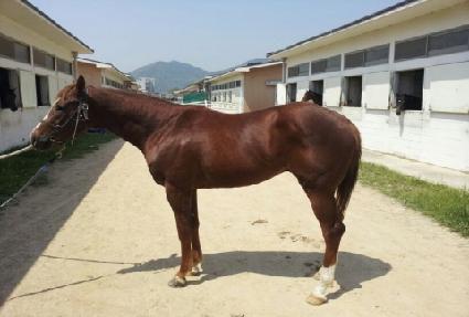 �ƾ�ġ�� ����