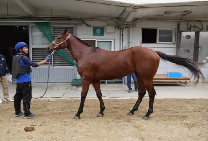 ���̴����ε� ����