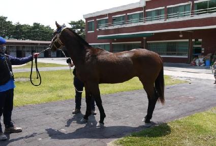 ����ε� ����