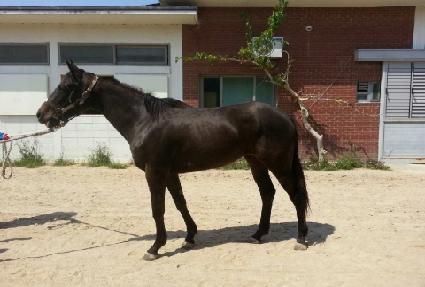 ���мǵ帶�� ����