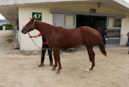 ��ȣ��ī��Ĺ ����