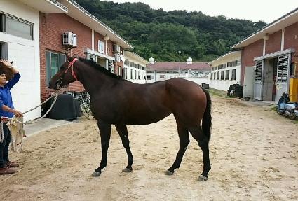 ���̾���ũ ����