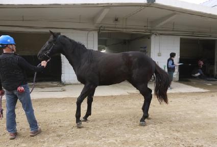 ��ī��� ����