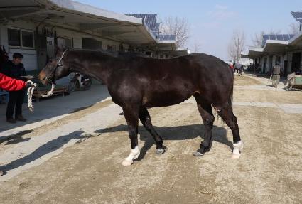 ������Ʈ�� ����