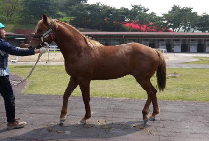 ������� ����