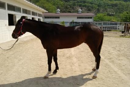 ���������� ����