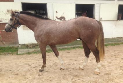 ��õ��Ʈ ����