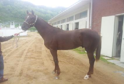 ��罺Ÿ ����