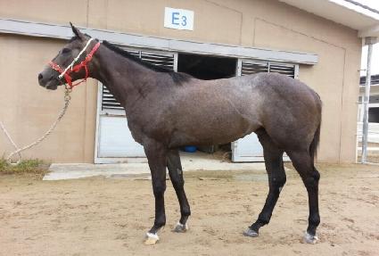 ��ǳ�Ķ� ����