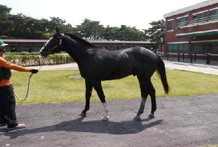 �򼼺� ����