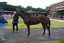 ������ (MANWOLMUN) ����