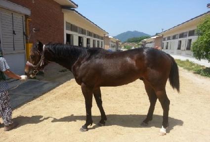 ���巯�� ����