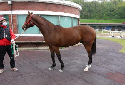 ��ũ�� ����