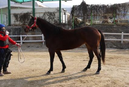 ť��� ����