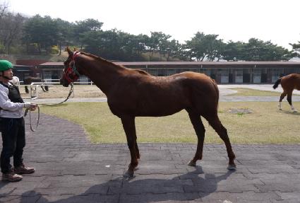 ���̽����� ����