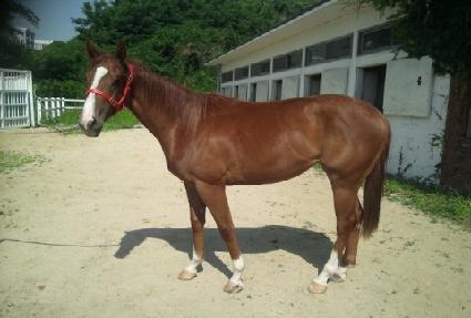 ��ٰ��� ����