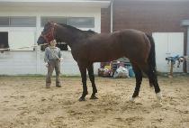 ��õ���� (SINCHEON YEOMANG) ����