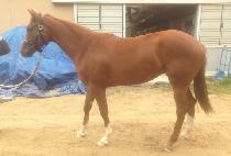 ���彺Ÿ (WORLD STAR) ����