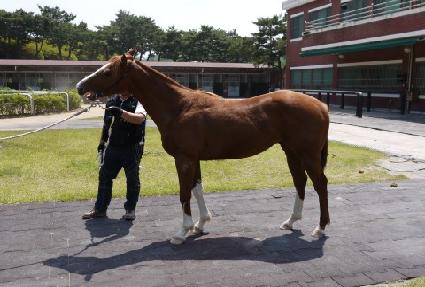 ���ǻ��� ����