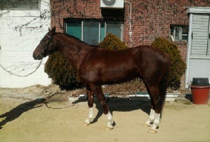 ��õ���� ����