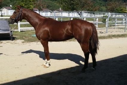 Ž���� ����