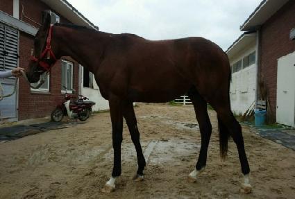 ��¡ ����