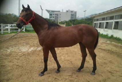 �ö���� ����