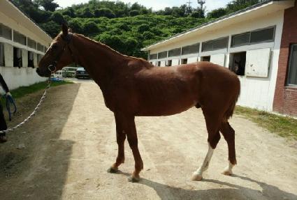 ������ ����