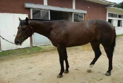 ���Ÿ�̰� ����