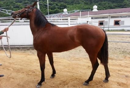 ��Ÿ�� ����