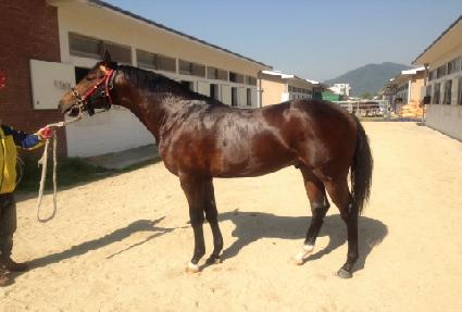 ���нô� ����