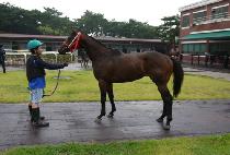 ����� (DAEBAGI) ����