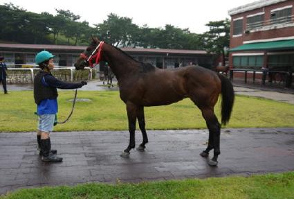 ����� ����