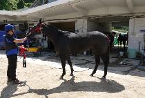 ������ (SUBAEKYANG) ����