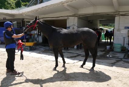 ������ ����