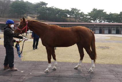 ���� ����