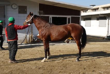 ��ö���� ����